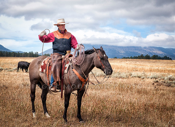 Cattle Branding-166