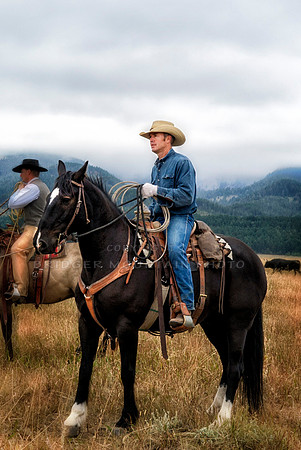 Cattle Branding-104