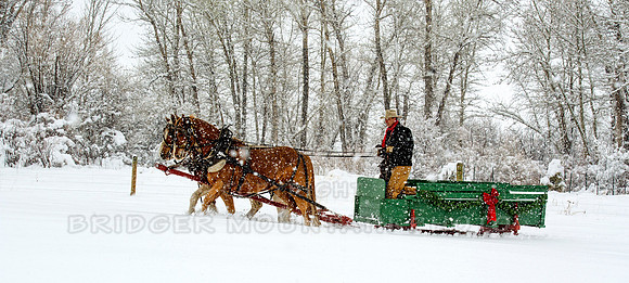 Sunrise Pack Station Sleigh Ride-6
