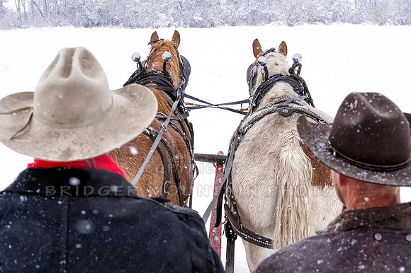 Sunrise Pack Station Sleigh Ride-7