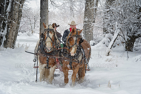 Sunrise Pack Station Sleigh Ride-8