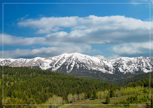 Bridgers in Spring