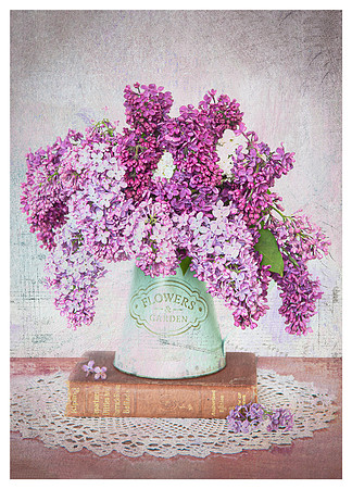 Lilacs