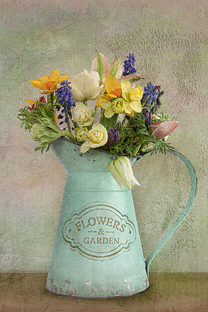 Flowers from the Garden
