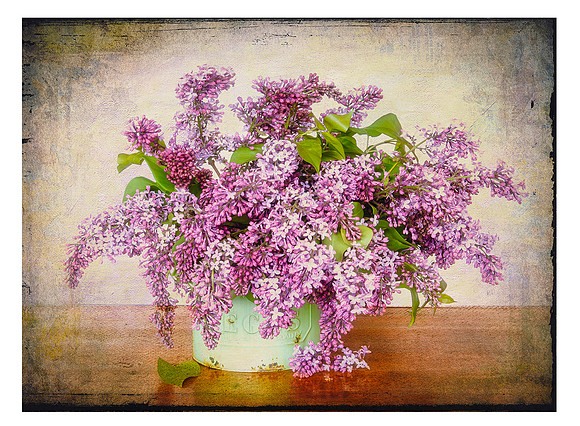 Overflowing with Lilacs