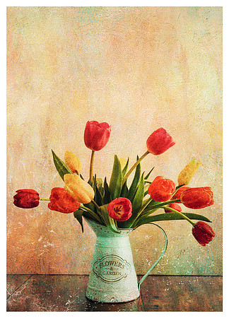 Tulips in the Watering Can