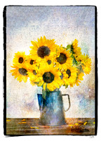 Glowing Sunflowers of Late Summer