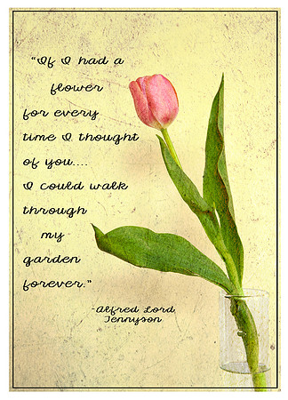If I had a Flower