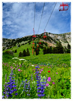 Bridger Lift in Summer