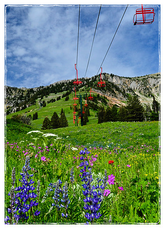 Bridger Lift in Summer