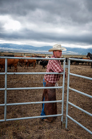 Cattle Branding-159