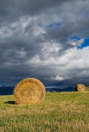 Montana landscape photography