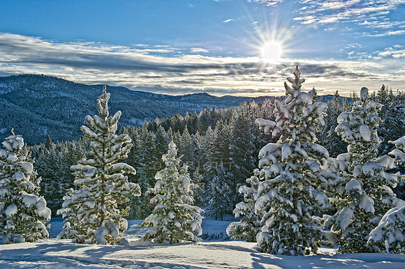The sun peaks thru the clouds over snow covered trees on a very cold morning.