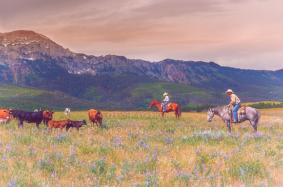 Montana landscape photography