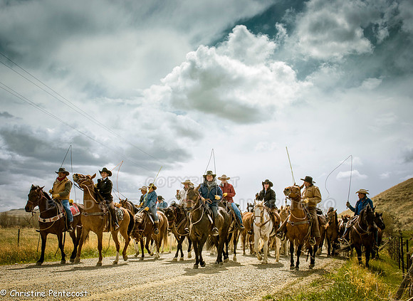 Cowboys are leading the horses at the start of the Three Forks Horse round up.