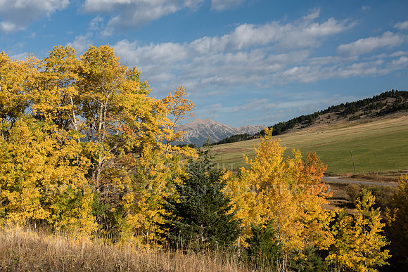 Beautiful Autumn Morning