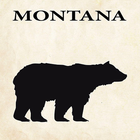 Grizzly Bear Silhouette