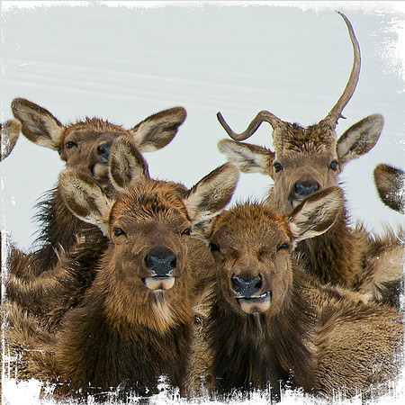 Group Photo