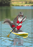 Paddleboarding Squirrel Female