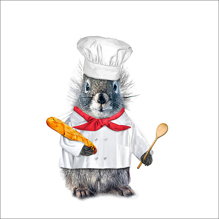 Chef Squirrel coaster