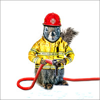 Fireman Squirrel COASTER