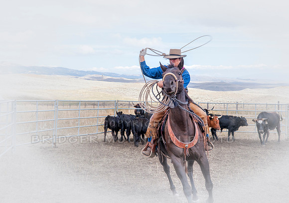 Cattle Branding-174