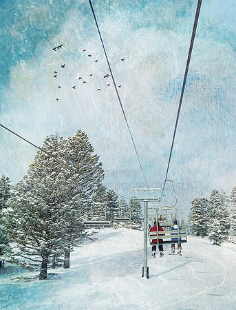 Birds over Bridger Bowl-8