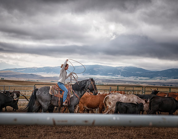 Cattle Branding-158