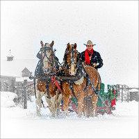 Sleigh Ride 5