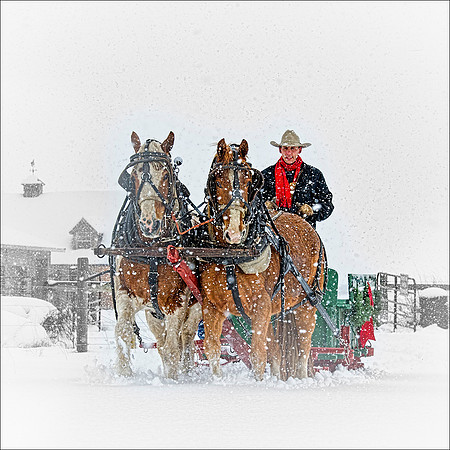Sleigh Ride 5