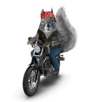 Motorcycle Coaster