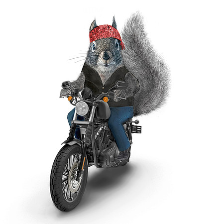 Motorcycle Coaster