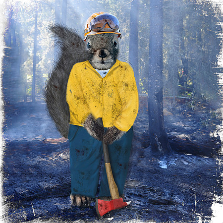 Wildland Firefighter