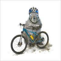 Biker Squirrel Coaster