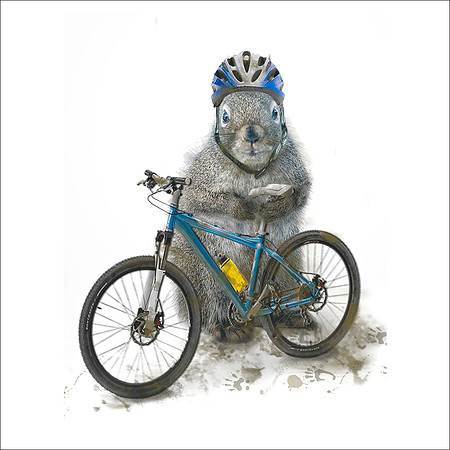 Biker Squirrel Coaster