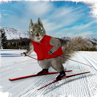 Skate Skier