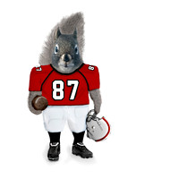 Football squirrel Red