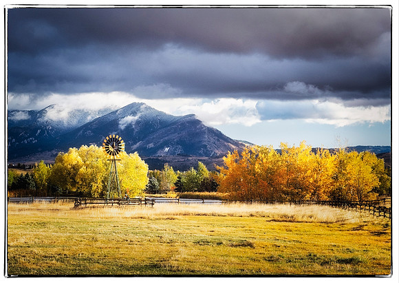 The M in Autumn