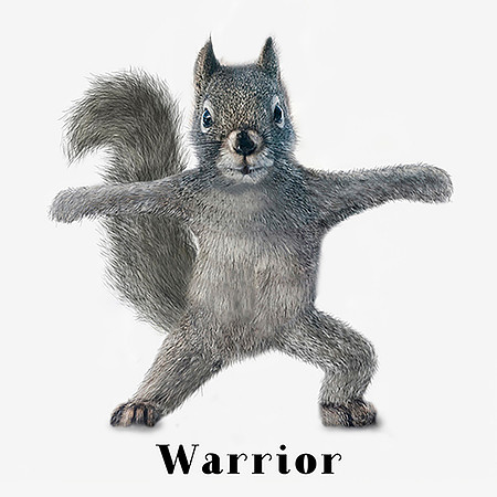 Yoga Squirrel Warrior Pose