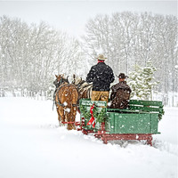 Sleigh Ride 3