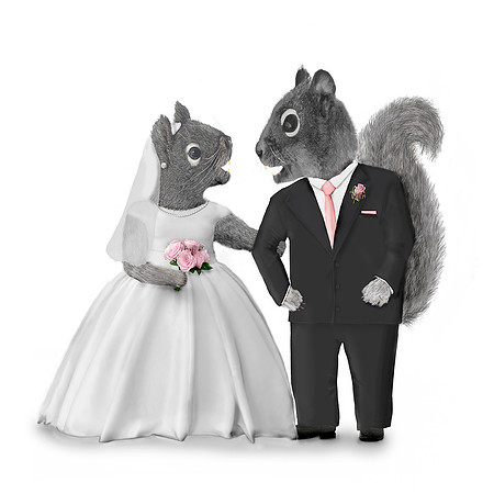 Wedding Squirrels COASTER