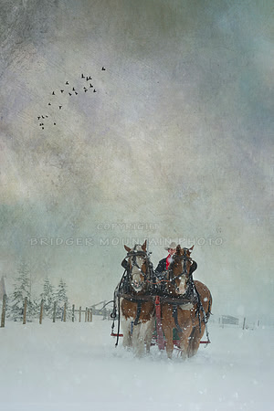Sleigh Ride at Christmas Time