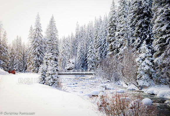 Snow blankets a bridge and trees by a stream in Hyalite Canyon near Bozeman.