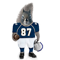 Football squirrel COASTER