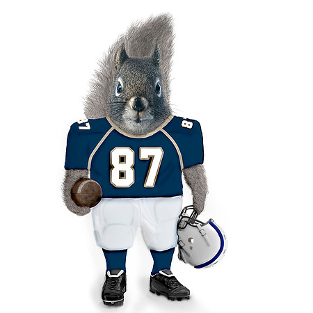 Football squirrel COASTER