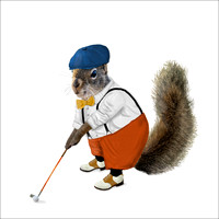 Golf Squirrel COASTER