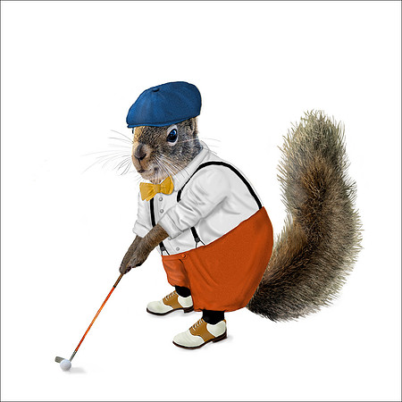 Golf Squirrel COASTER