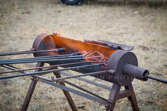 Cattle Branding-12