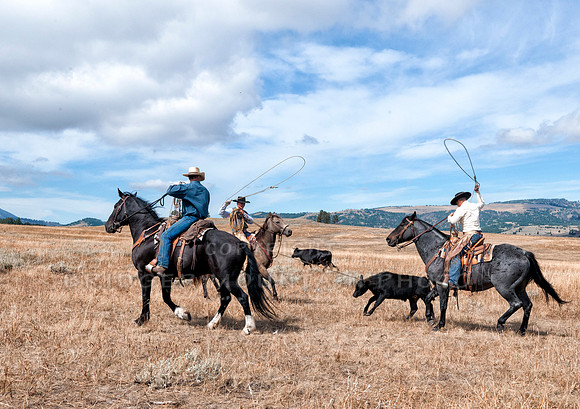 Cattle Branding-36