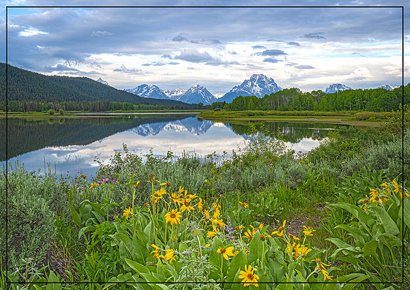 Oxbow Bend in June